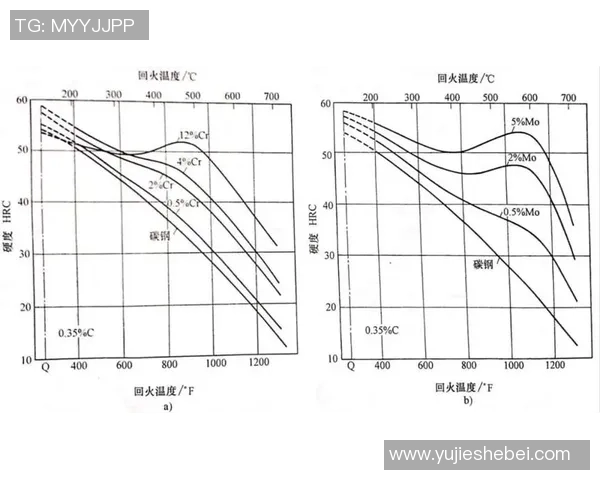 巴西与德国对决裁判组分析及其对比赛结果的影响探讨
