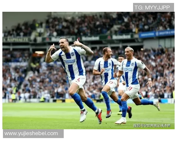 谢菲联与布莱顿激战在即谁能在英超赛场上笑到最后