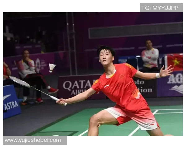 武汉羽毛球队的精神追求与发展历程探讨