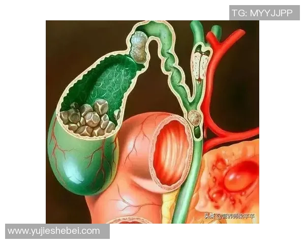 篮球明星内脏揭秘：他们的饮食与健康如何影响赛场表现与职业生涯