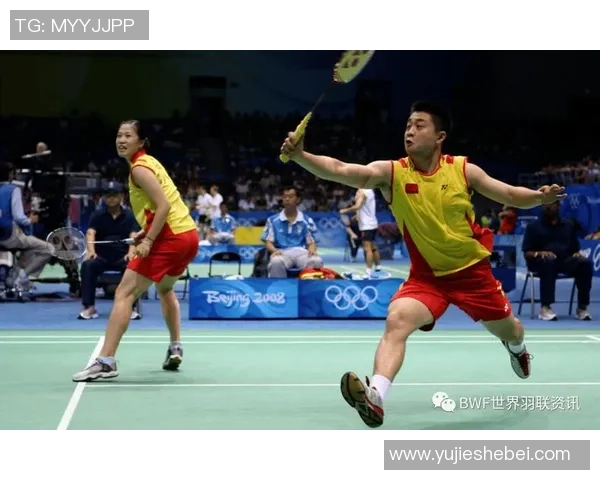 南京羽毛球队荣登羽毛球战术排行榜第五名展现实力与潜力