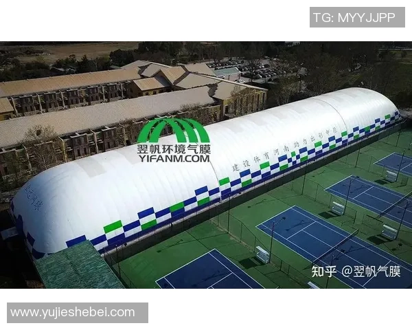 上海羽毛球队个人能力分析与发展潜力探讨